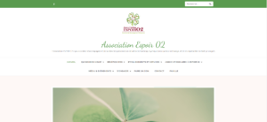 Site institutionnel Espoir 02